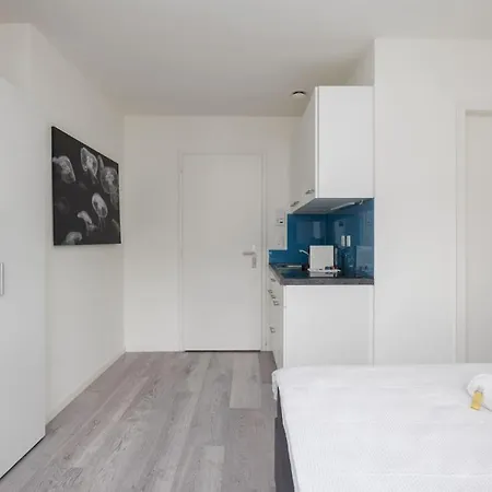 Urban Oasis With Queen Bed And View Be-44 شقة زيورخ